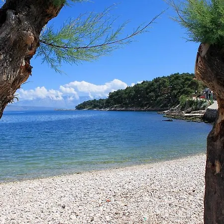 Jelsa 8798a Jelsa (Hvar)