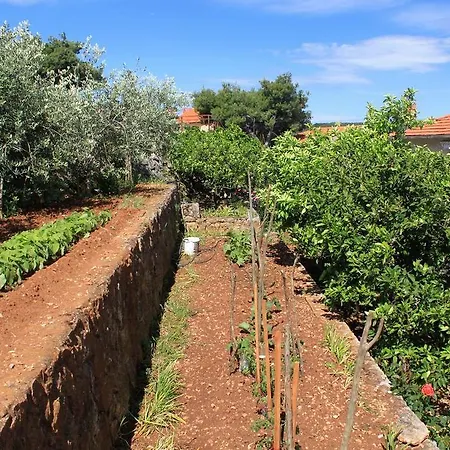 Jelsa 8798a Διαμέρισμα Jelsa (Hvar)