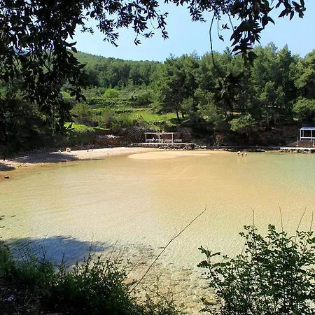 Διαμέρισμα Jelsa 8798a Jelsa (Hvar)